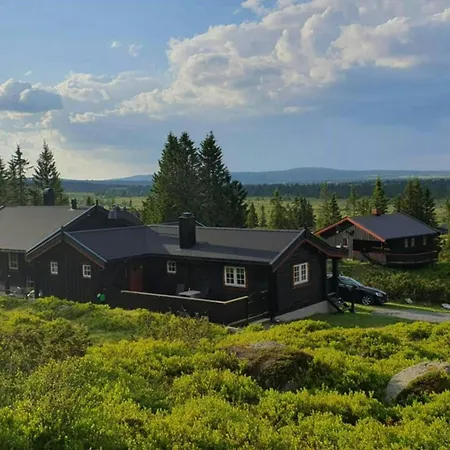 Semesterbostad Timber In Sjusjoen