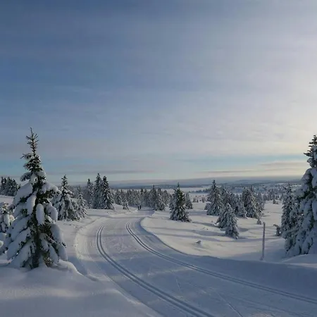Semesterbostad Timber In